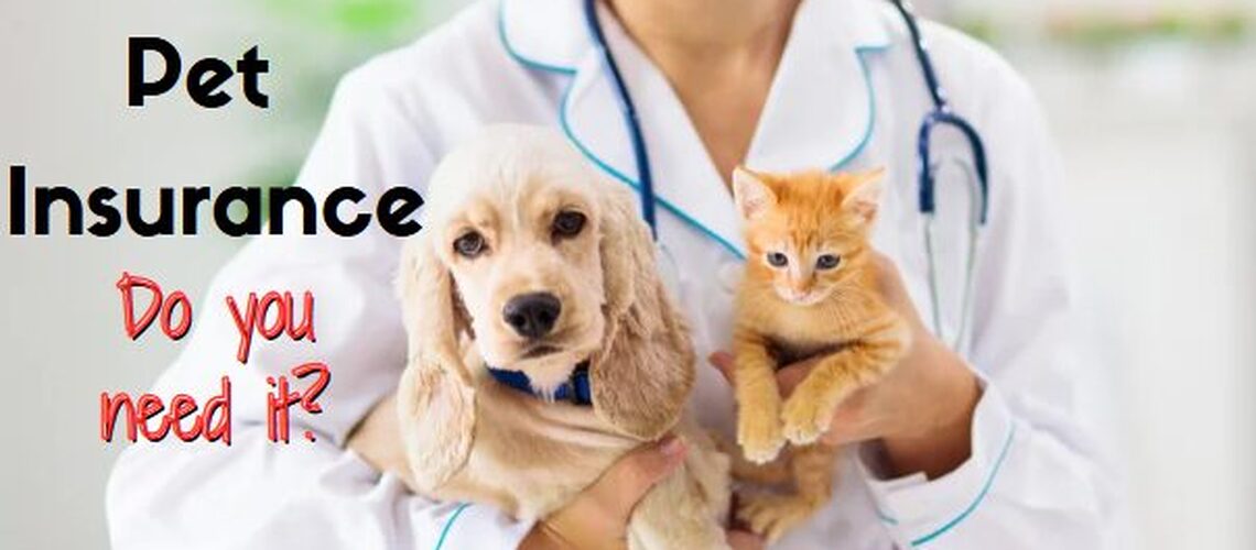 Pet Insurance: Do You Really Need It?