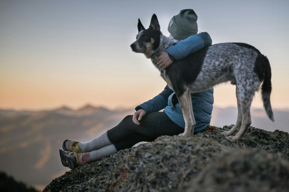 Pet Insurance: Do You Really Need It?