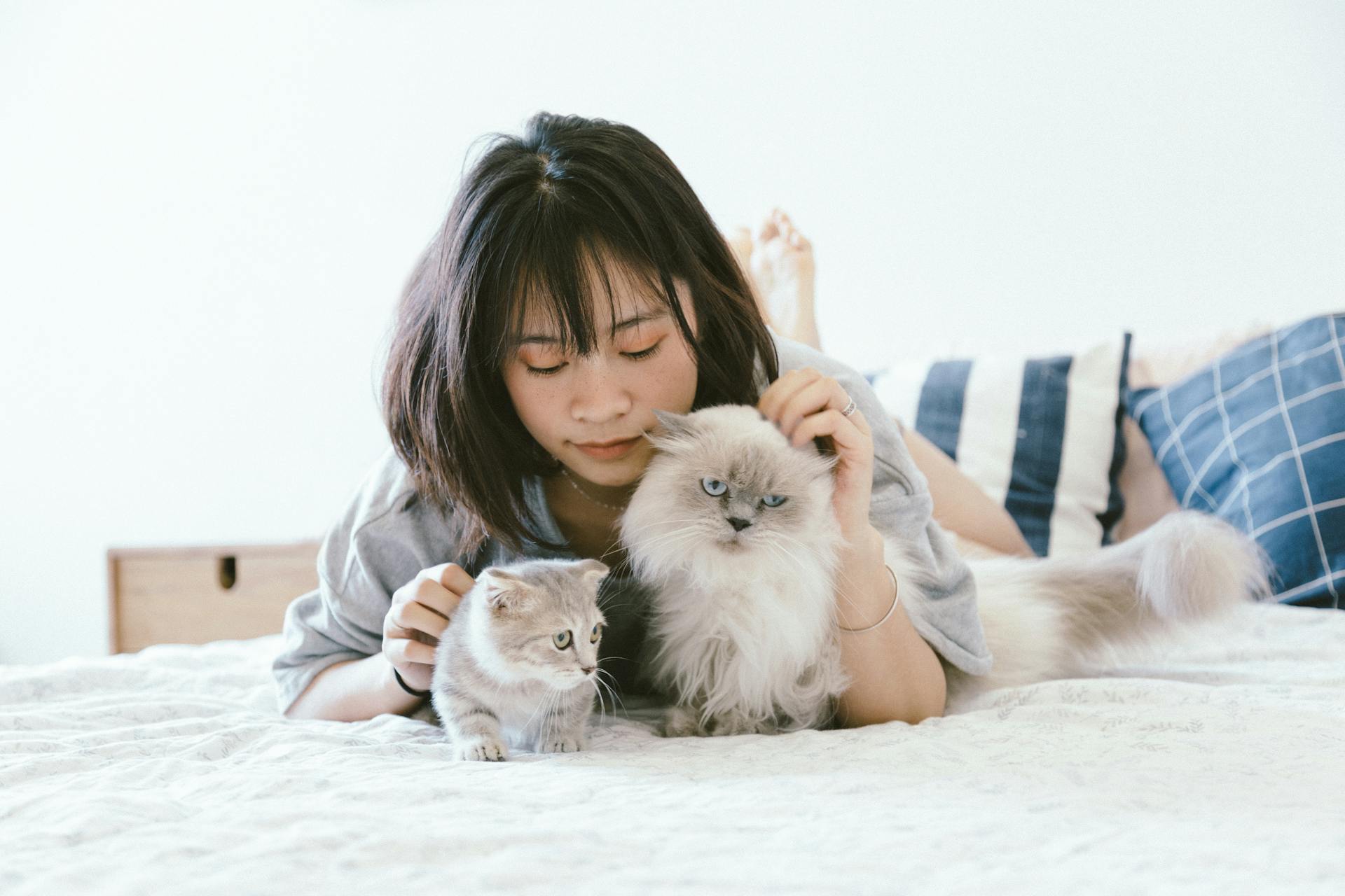 The Mental Health of Pet Owners: The Emotional Benefits of Pets