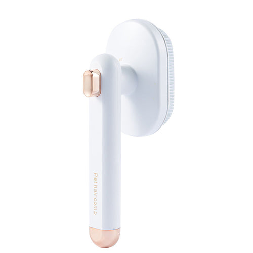 Pet Hair Removal Brush