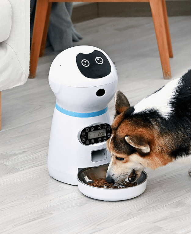 PawsomeFeed Automatic Smart Pet Feeder – Voice Recording