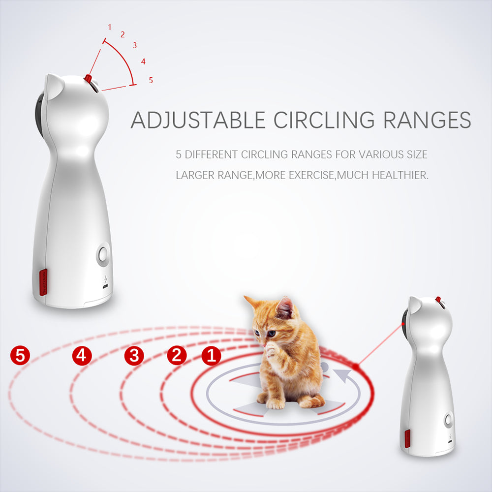 Automatic Cat Laser