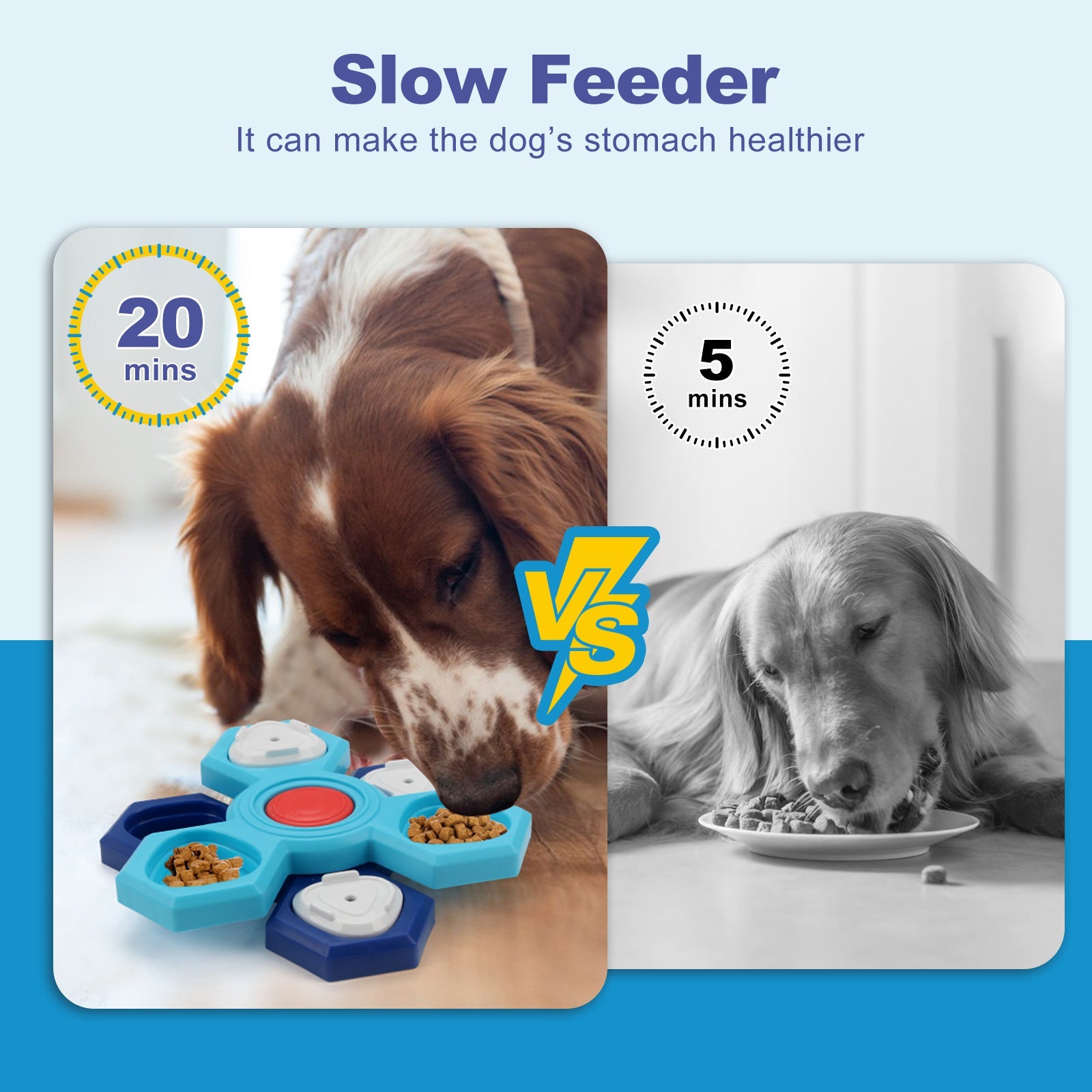 4-Layer Slow Feeder Bowl – Healthy Dog Eating