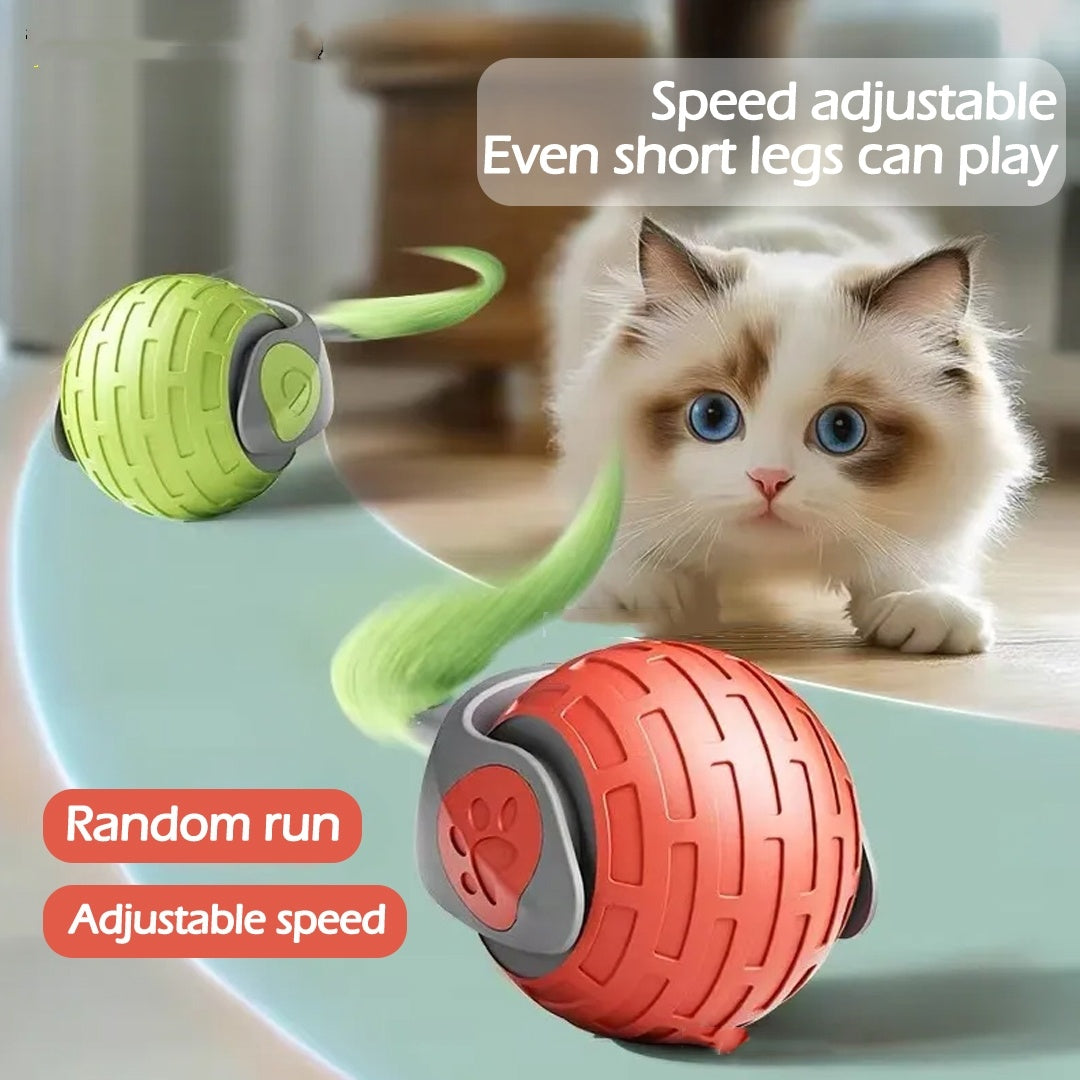 Interactive Rolling Cat Toy Ball – Electric & Fun