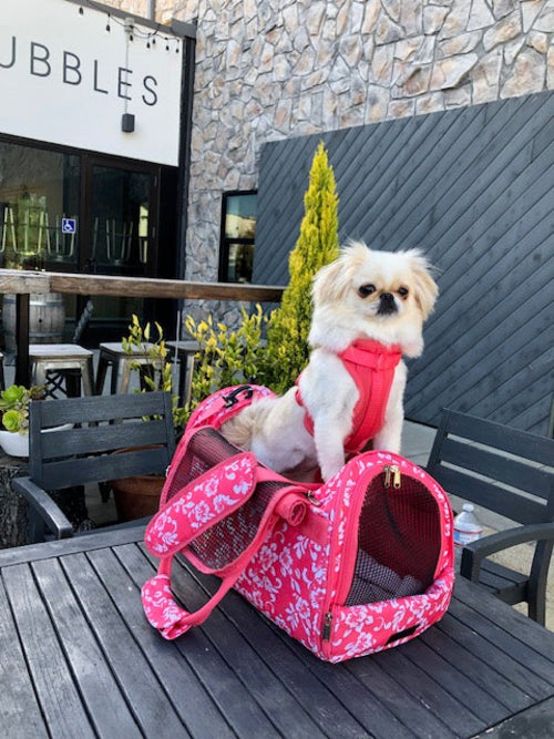 Hideaway Luxury Duffel Pet Carrier