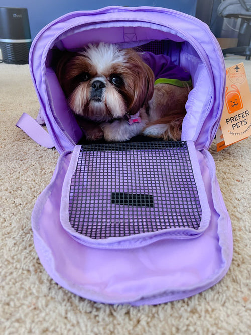 Hideaway Luxury Duffel Pet Carrier