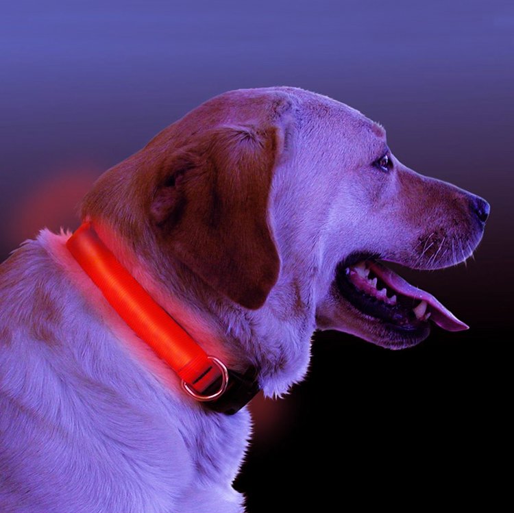LED Glow Dog Collar
