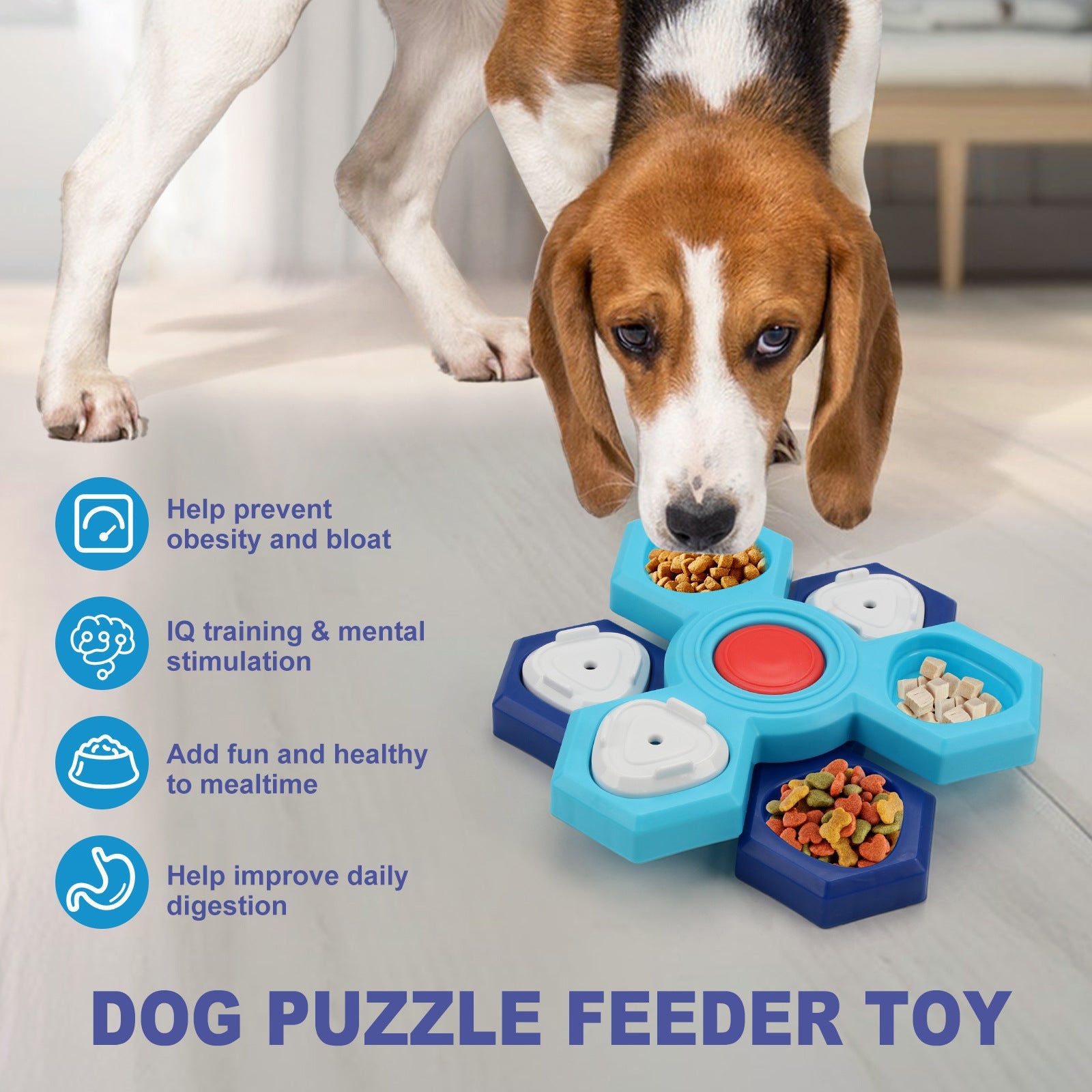 4-Layer Slow Feeder Bowl – Healthy Dog Eating