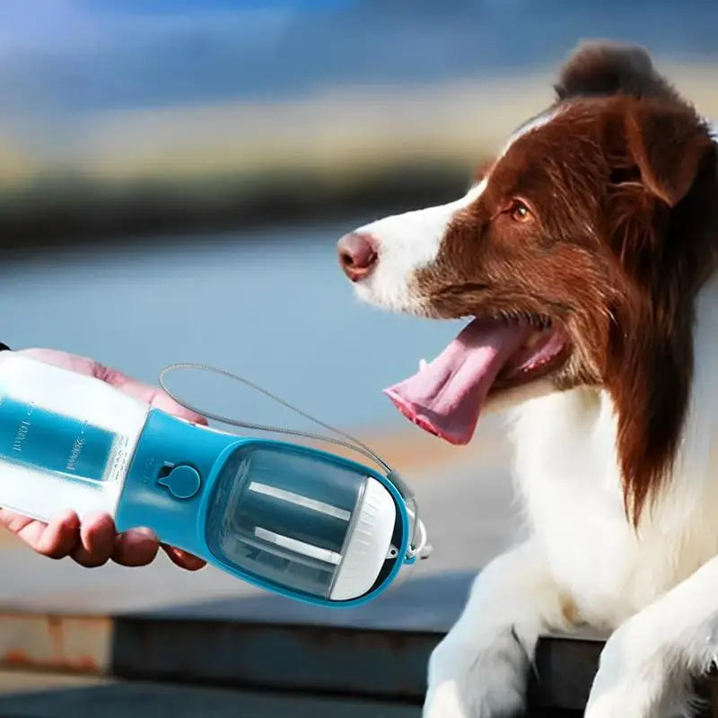 GoPet Hydration Cup – 3-in-1 Portable Pet Bottle