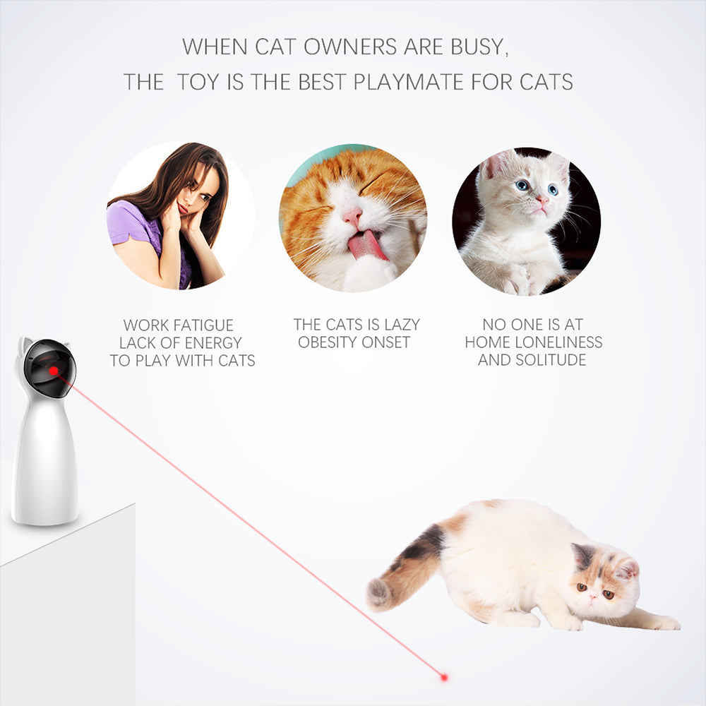Automatic Cat Laser