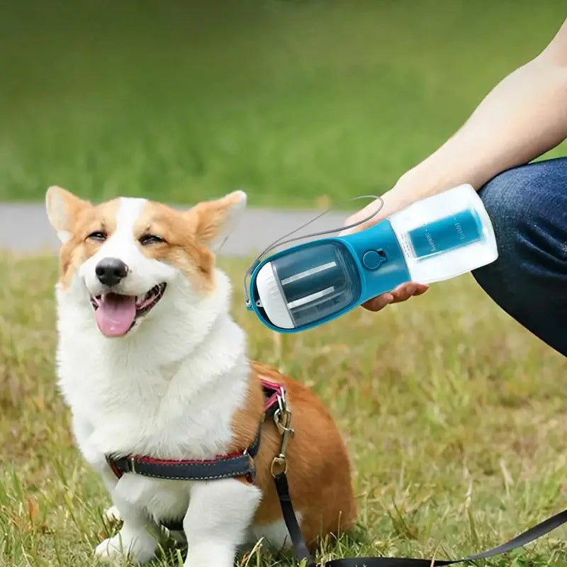 GoPet Hydration Cup – 3-in-1 Portable Pet Bottle