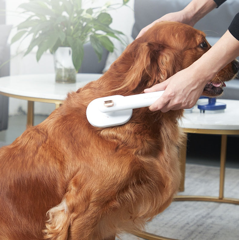 Pet Hair Removal Brush
