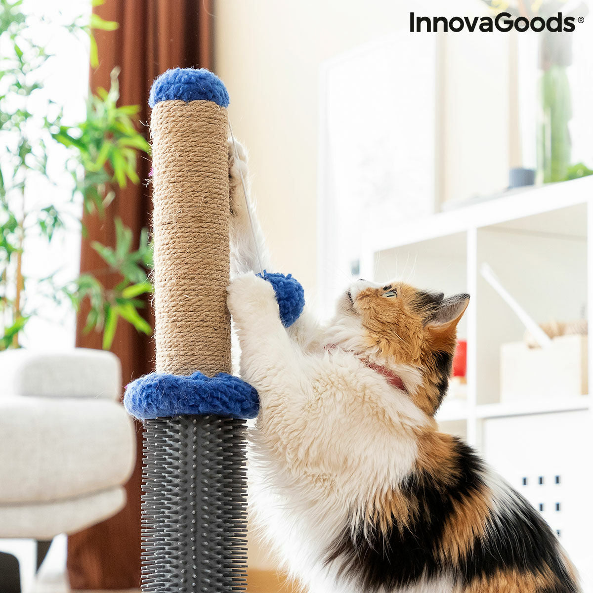 Cat Scratching and Play Massage Tower