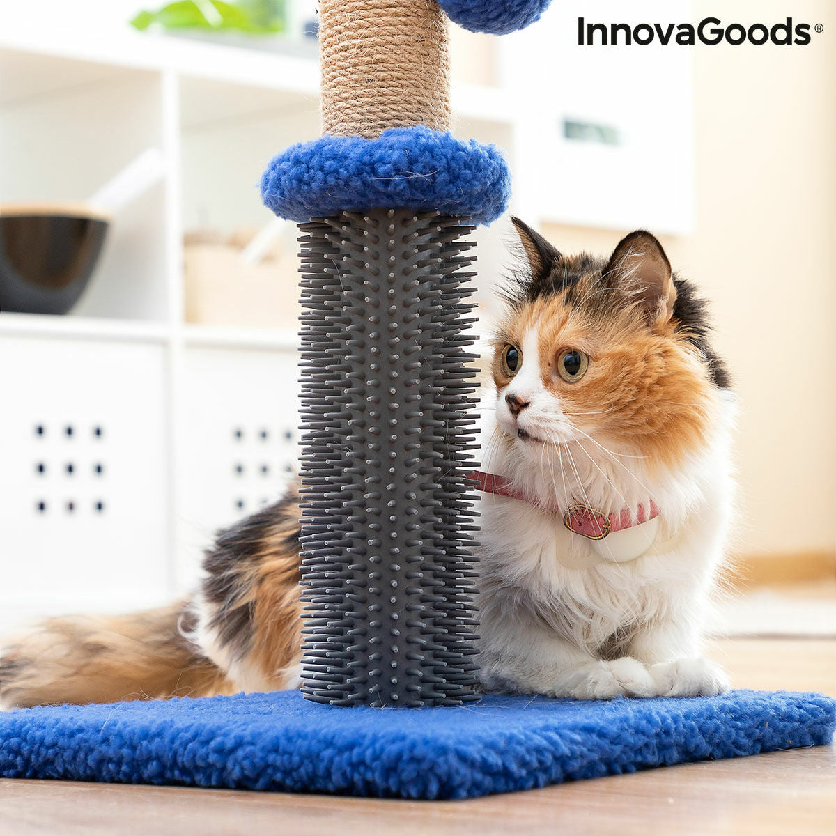 Cat Scratching and Play Massage Tower