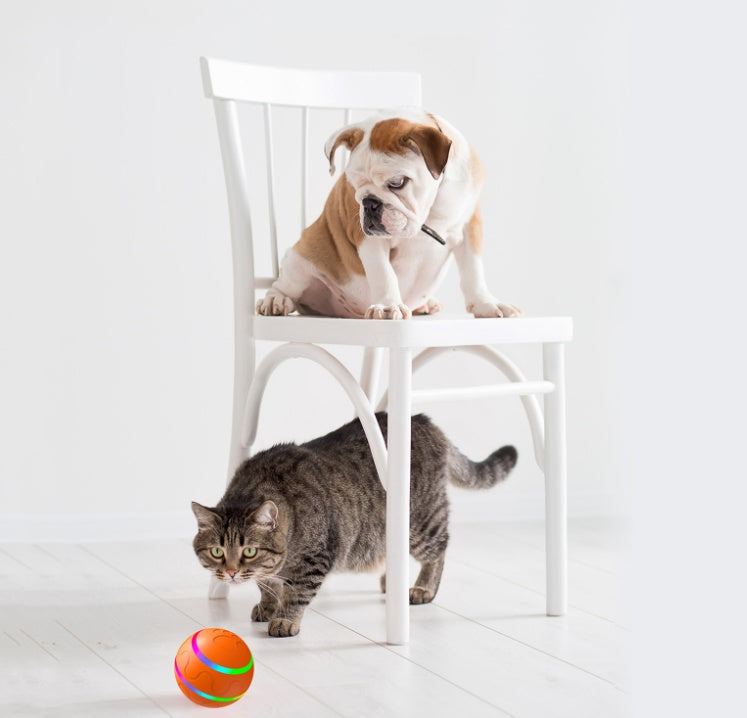 Interactive USB Cat Ball Toy