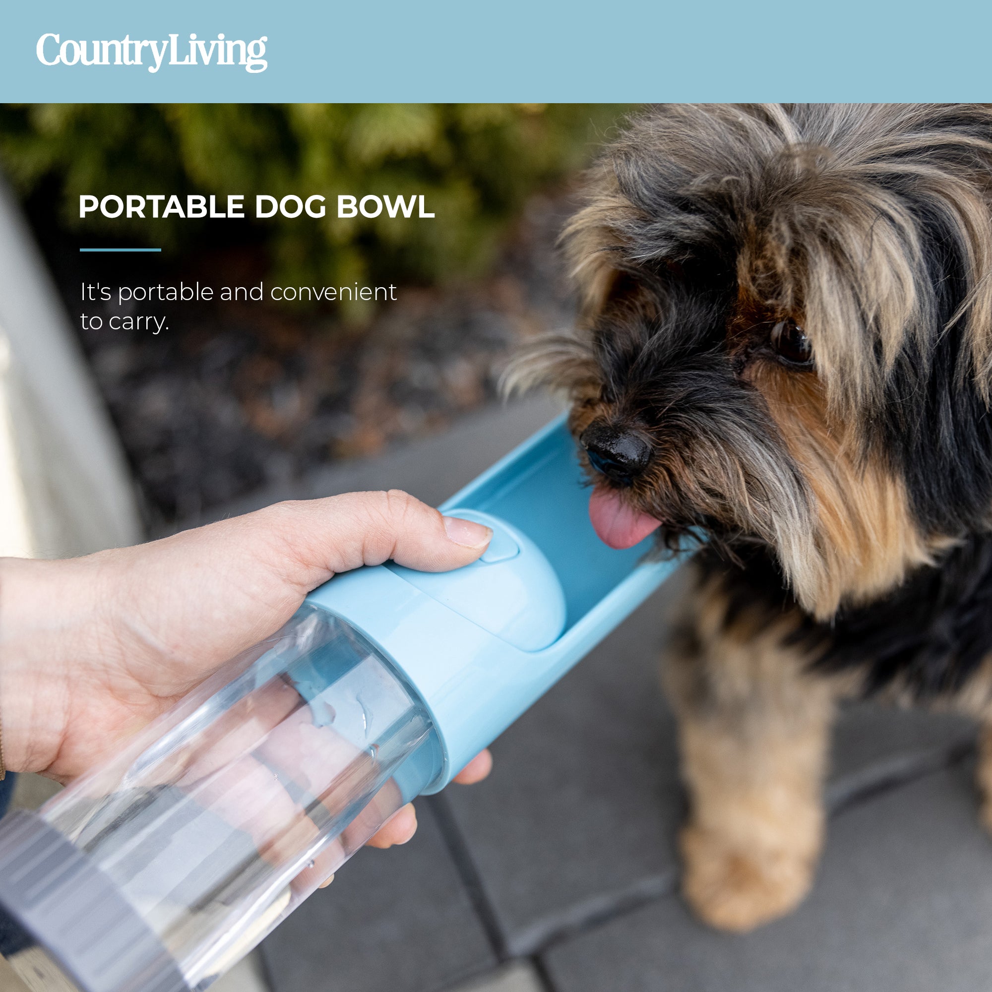 Water Bottle with Charcoal Filter