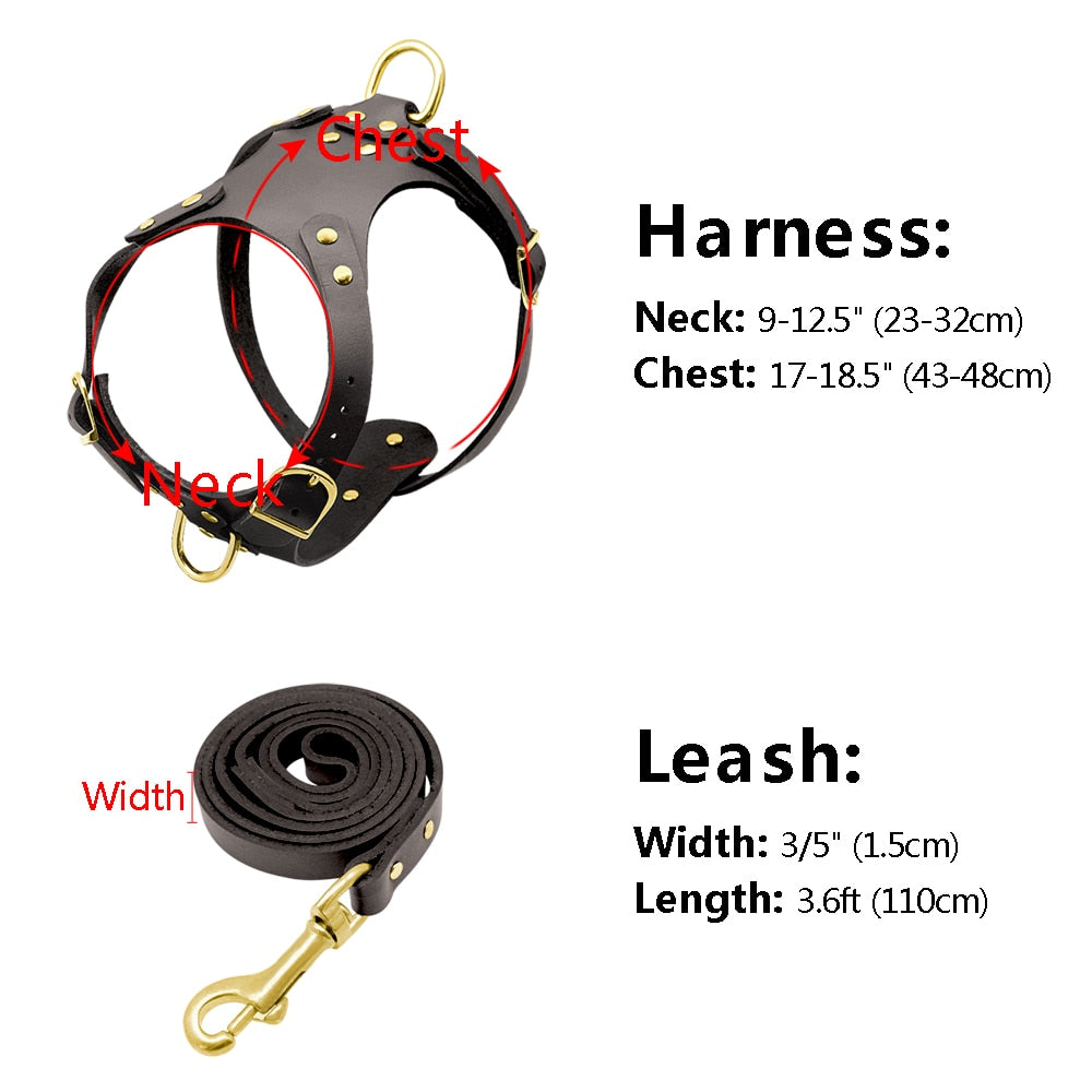 Genuine Leather Dog Harness – Adjustable & Soft Fit