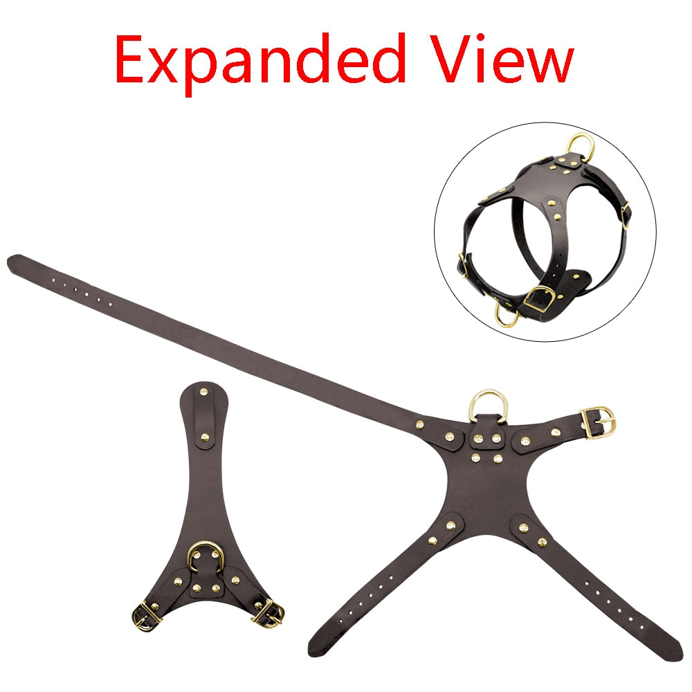 Genuine Leather Dog Harness – Adjustable & Soft Fit