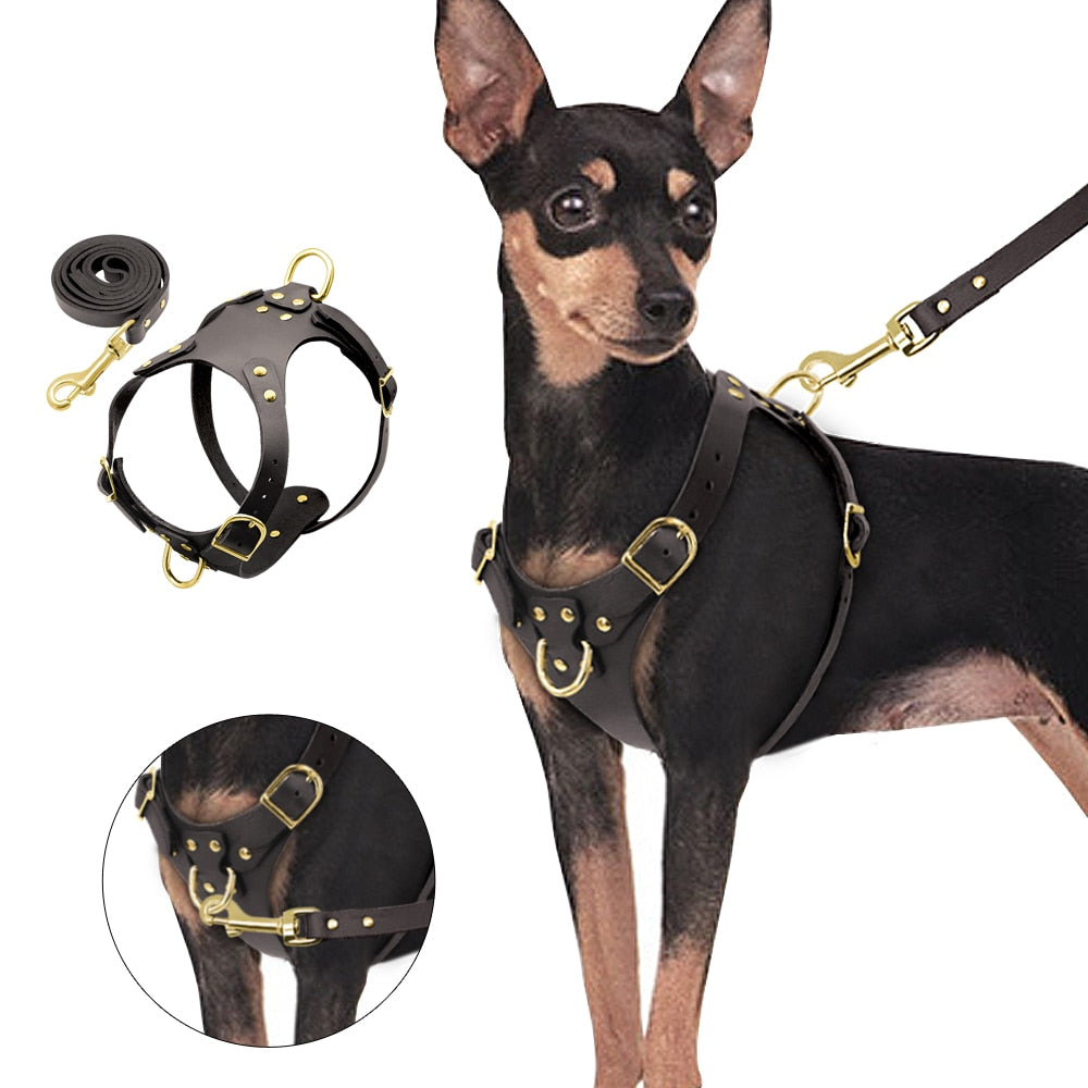 Genuine Leather Dog Harness – Adjustable & Soft Fit