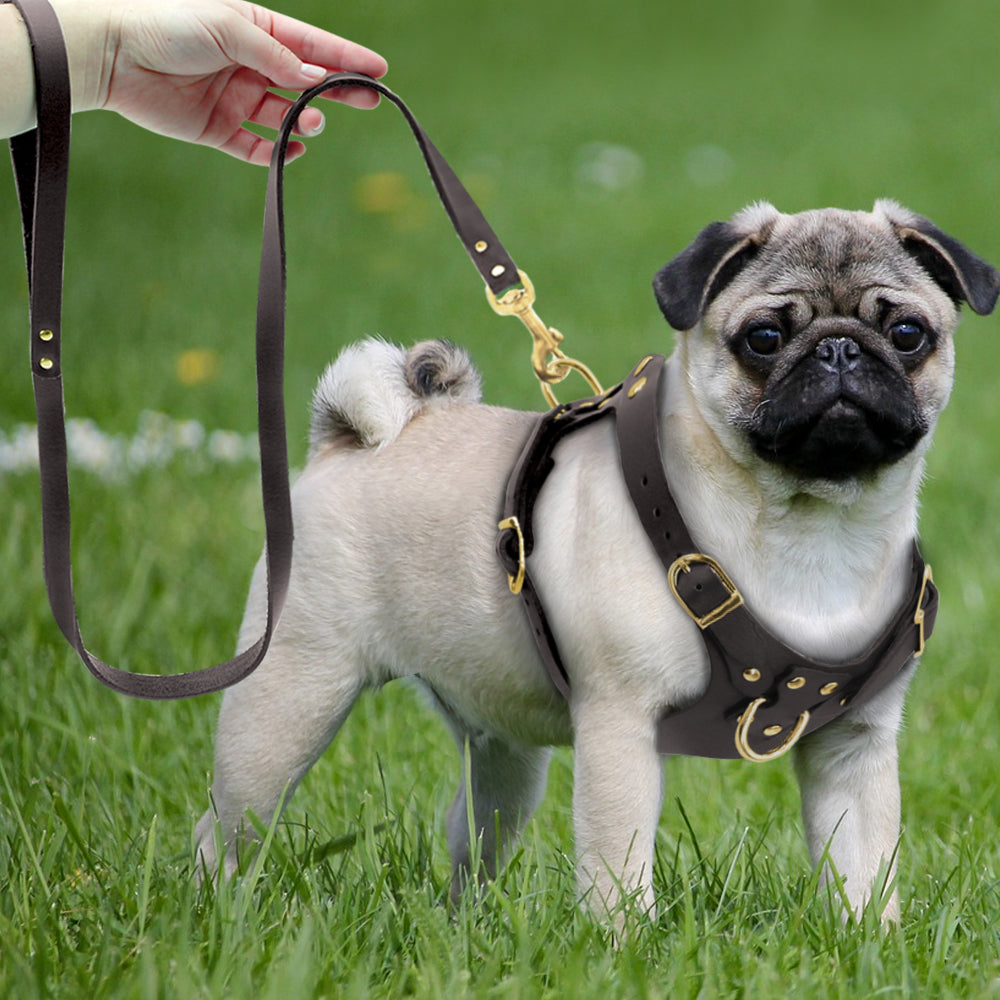 Genuine Leather Dog Harness – Adjustable & Soft Fit