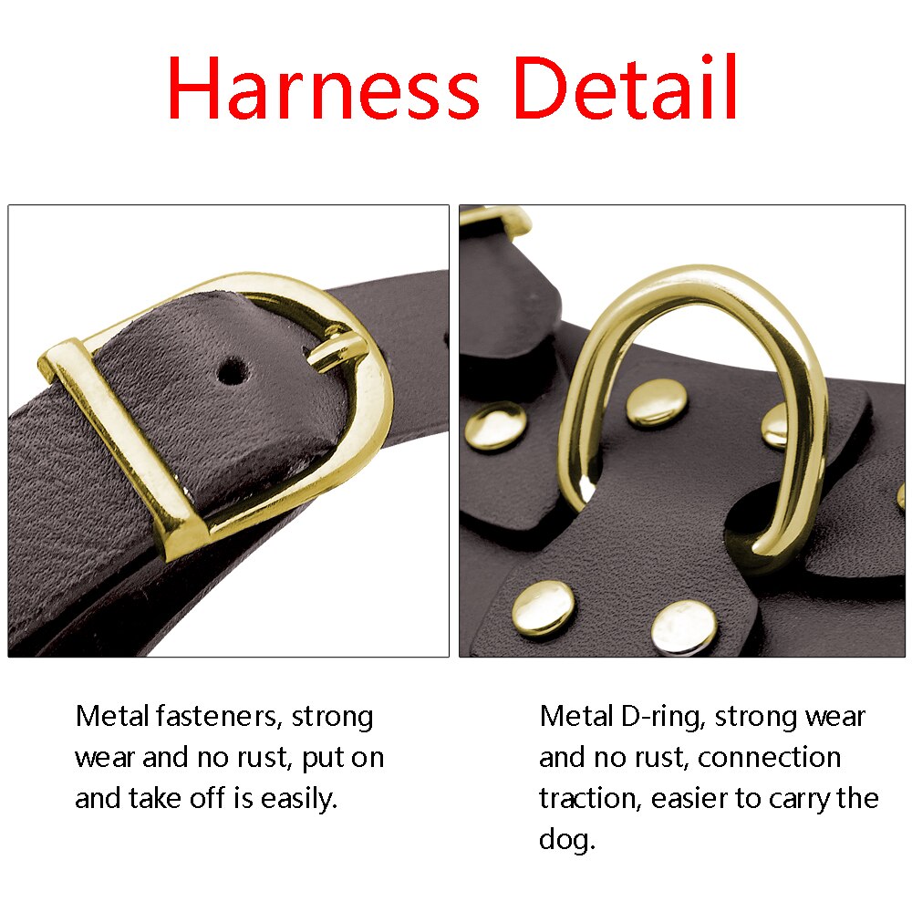 Genuine Leather Dog Harness – Adjustable & Soft Fit