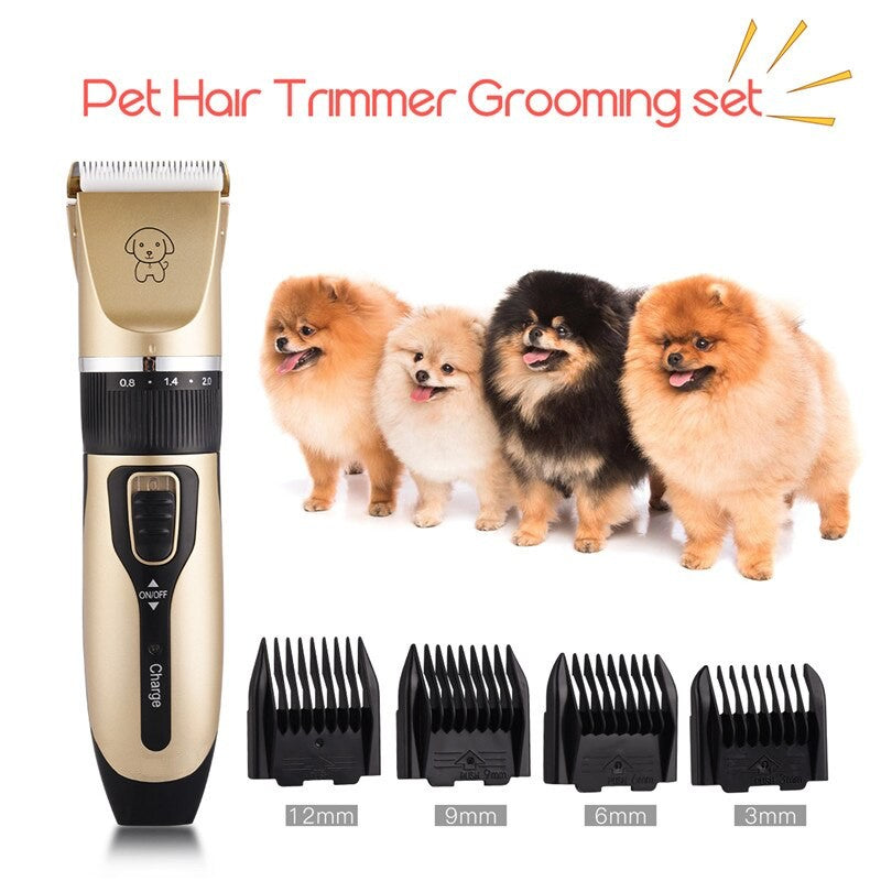 Professional Pet Grooming Kit
