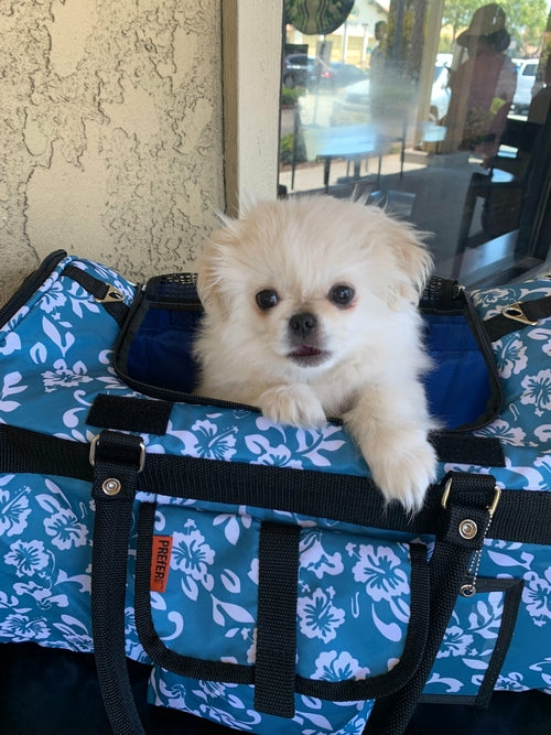 Hideaway™ Duffel - Pet Carrier