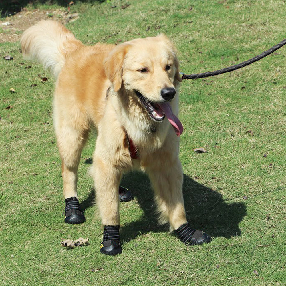 Reflective Dog Boots