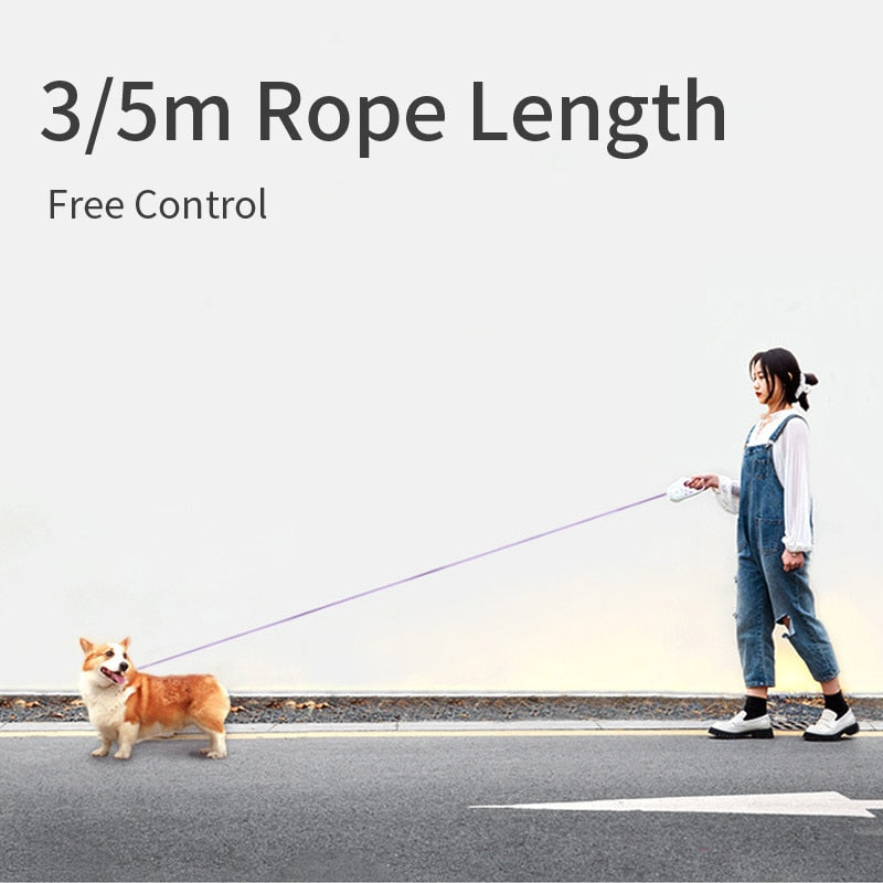 LED Safety Dog Leash