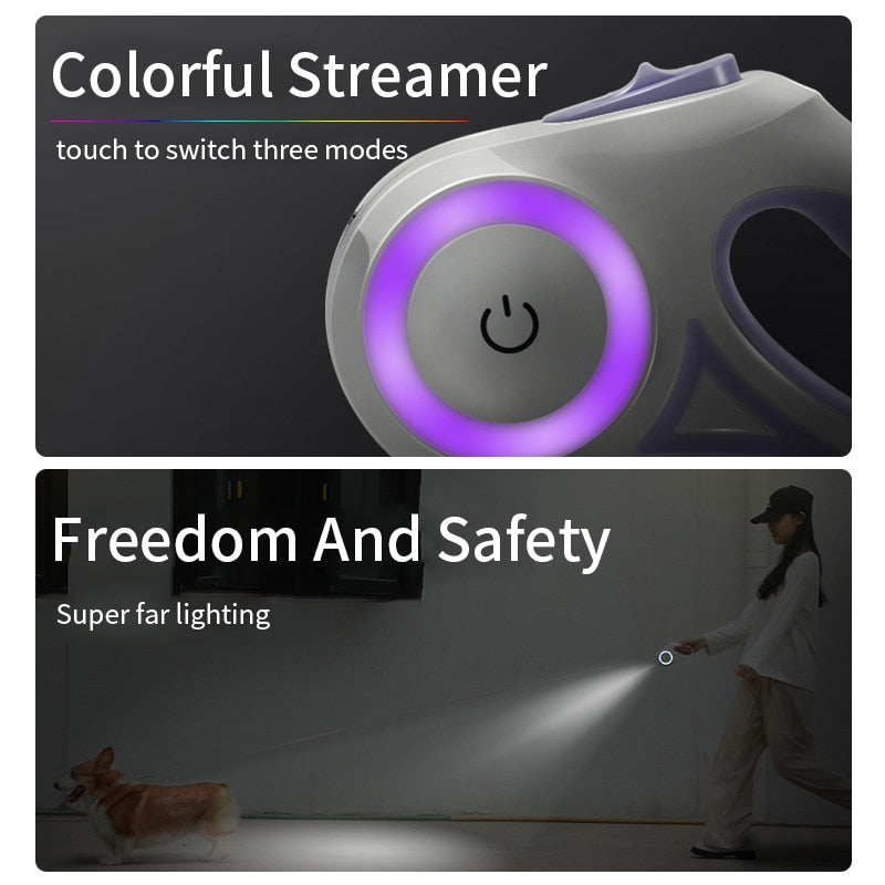 LED Safety Dog Leash