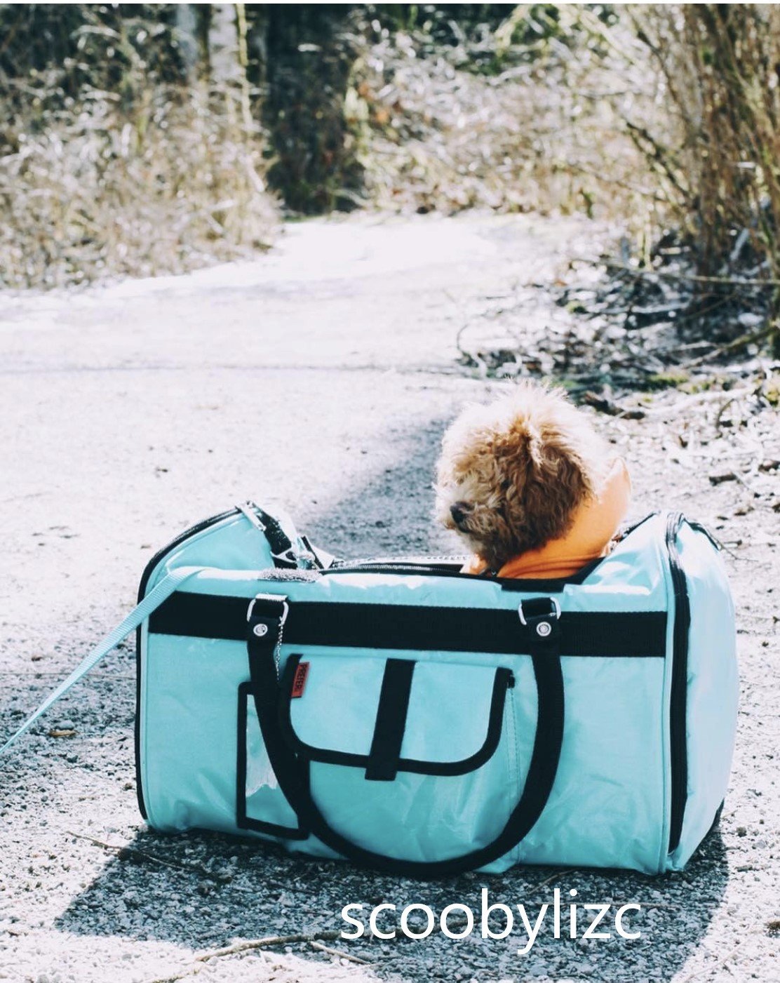 Hideaway Luxury Duffel Pet Carrier