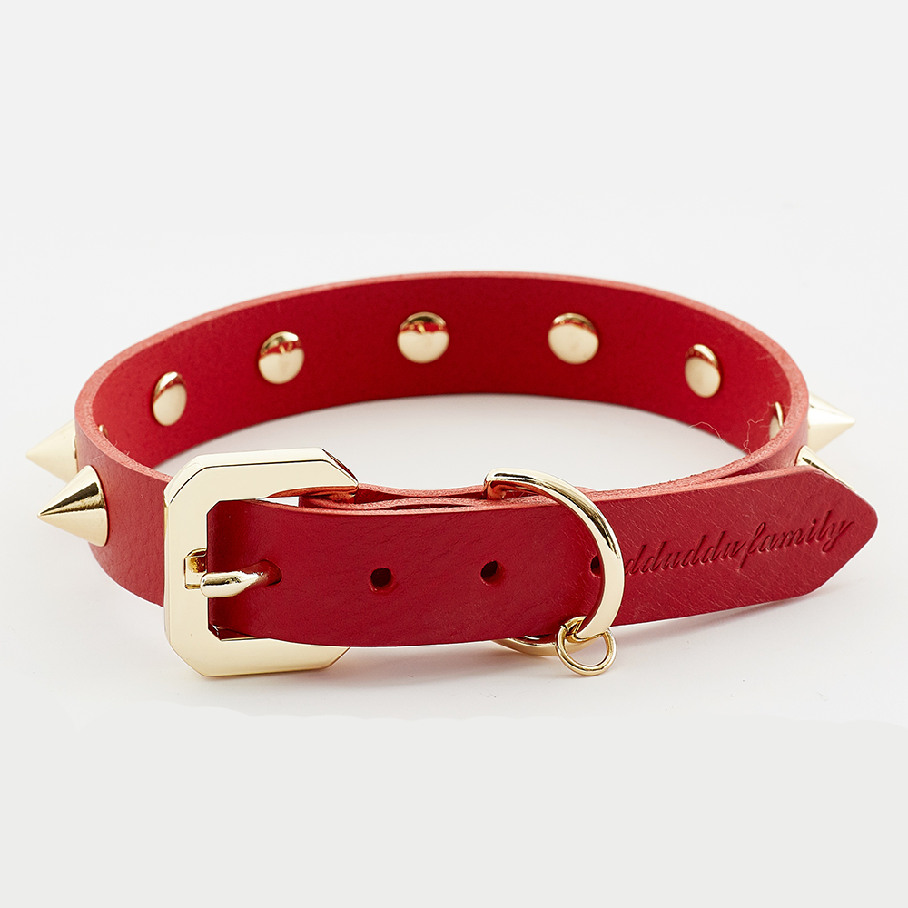 Golden Spike Collar