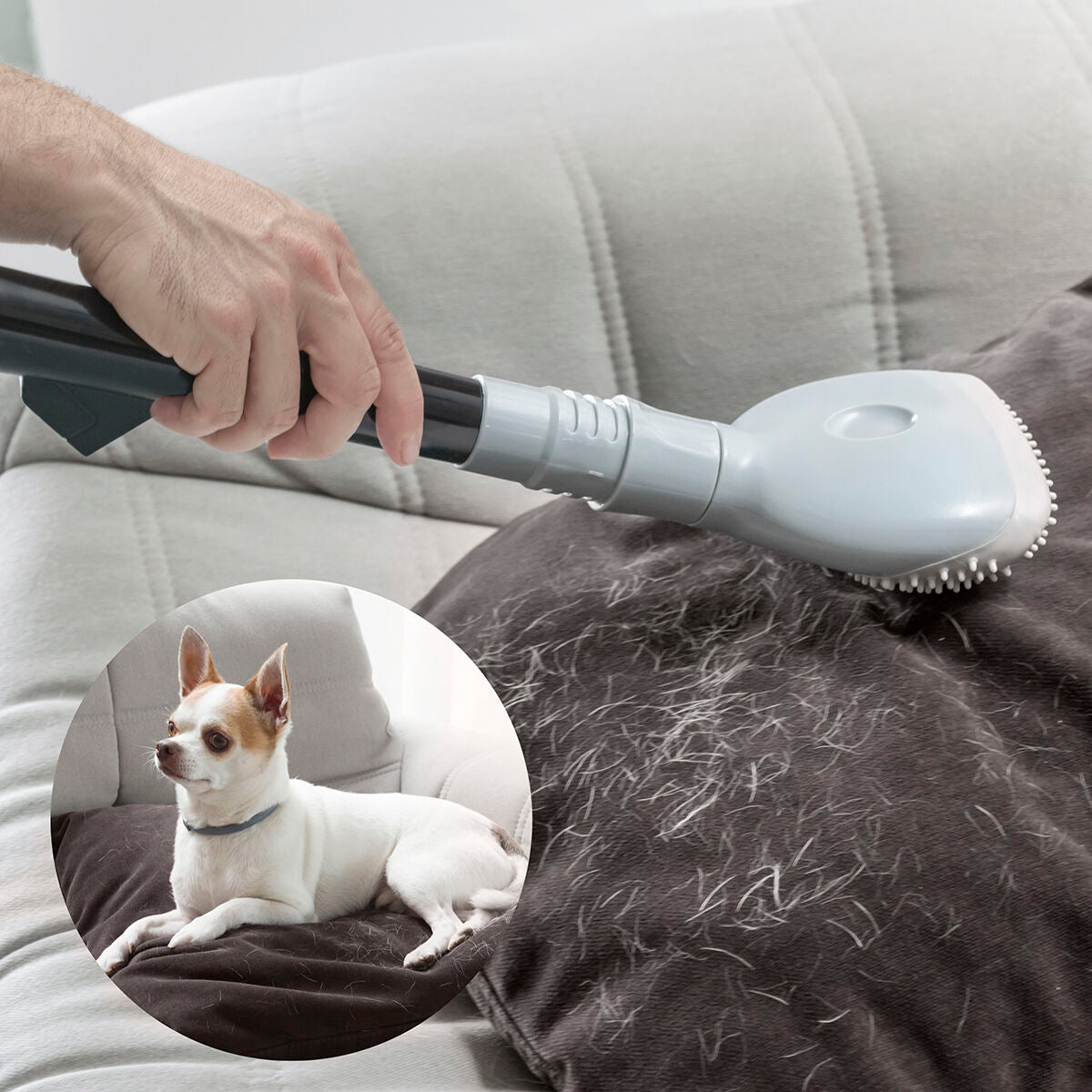 PawClean Vacuum Attachment