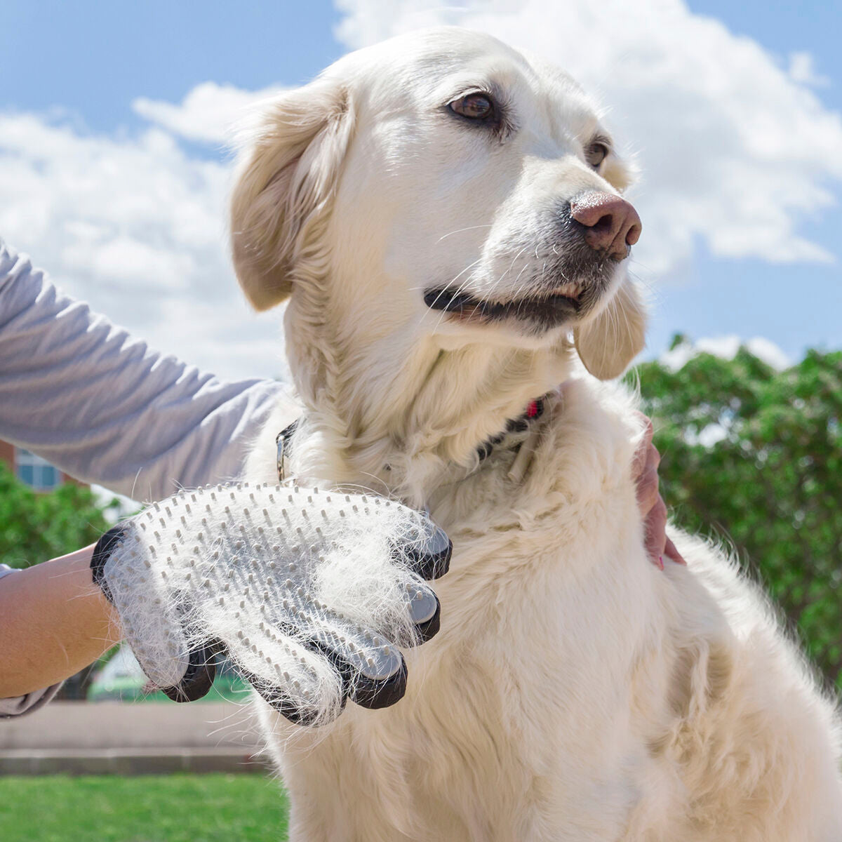FurCare Glove – Pet Brush & Massage Glove