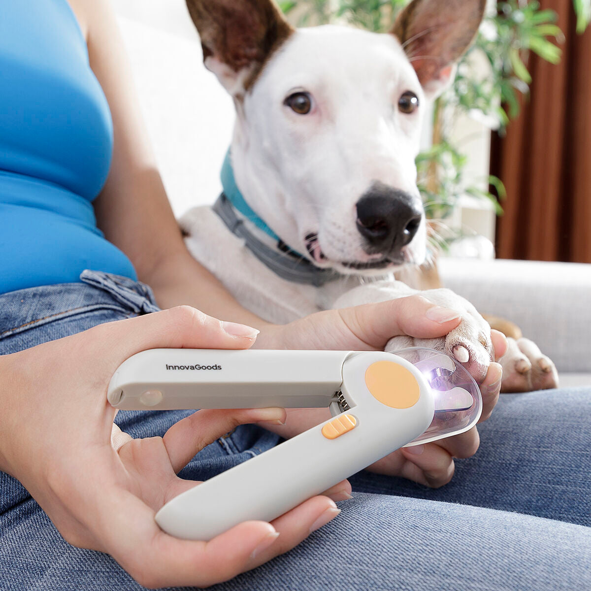 LED Pet Nail Clippers – Safe & Precise