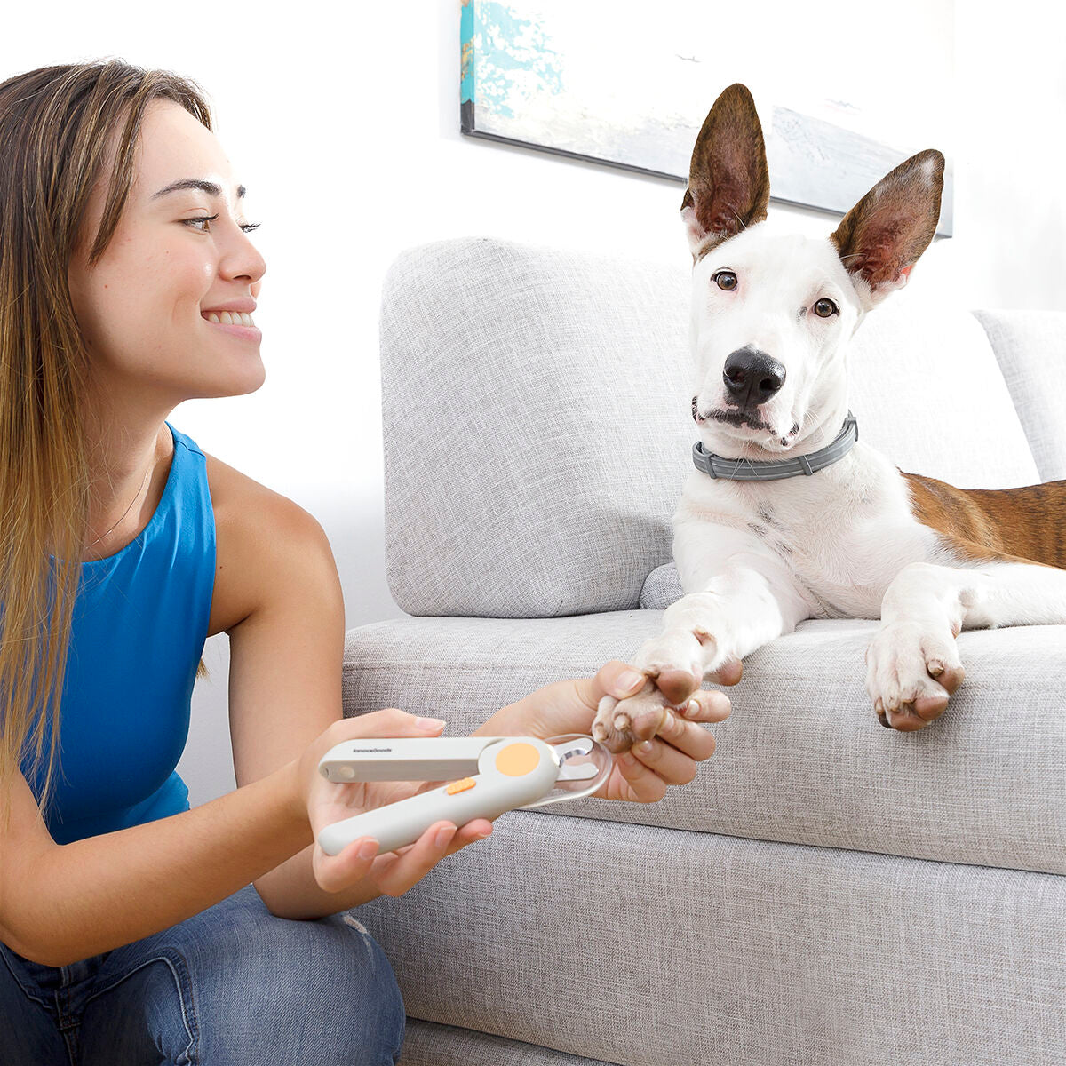LED Pet Nail Clippers – Safe & Precise