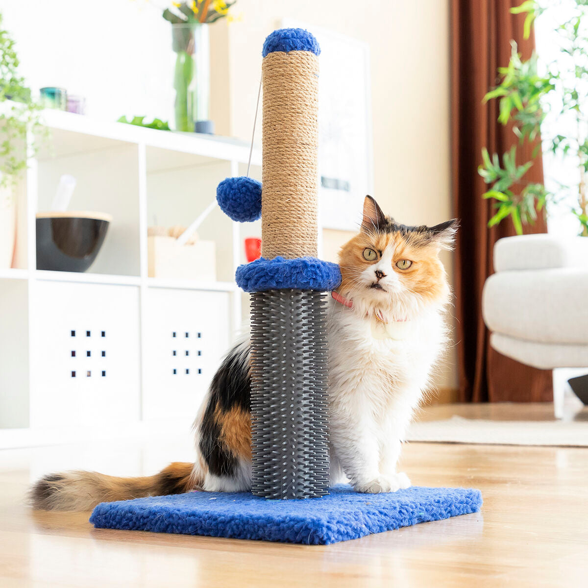 Cat Scratching and Play Massage Tower