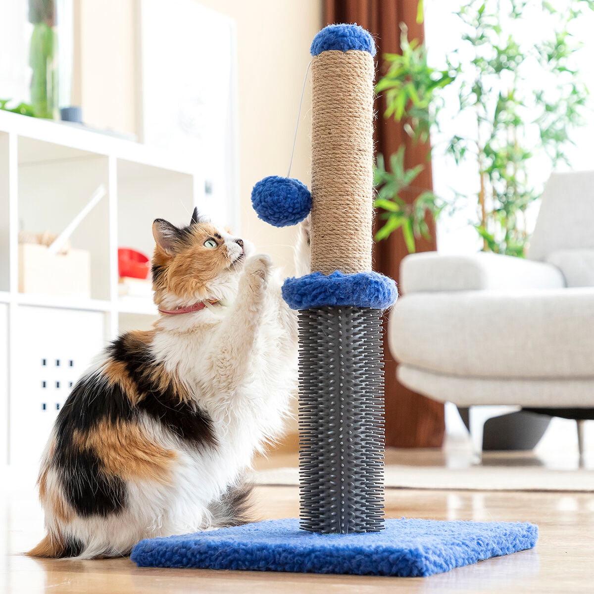 Cat Scratching and Play Massage Tower
