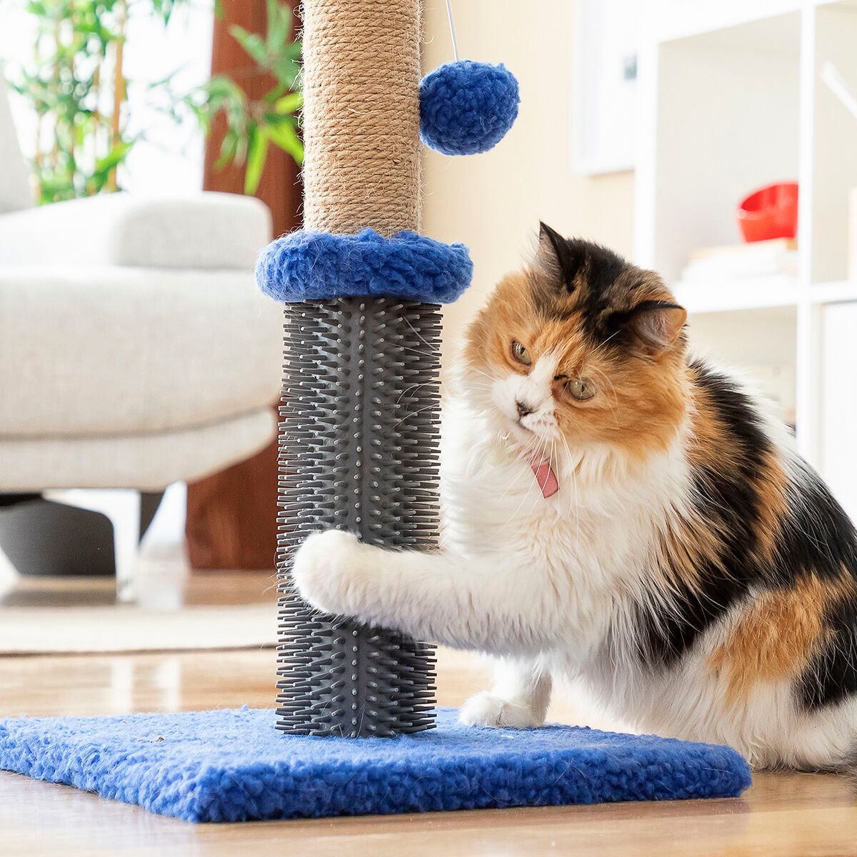 Cat Scratching and Play Massage Tower