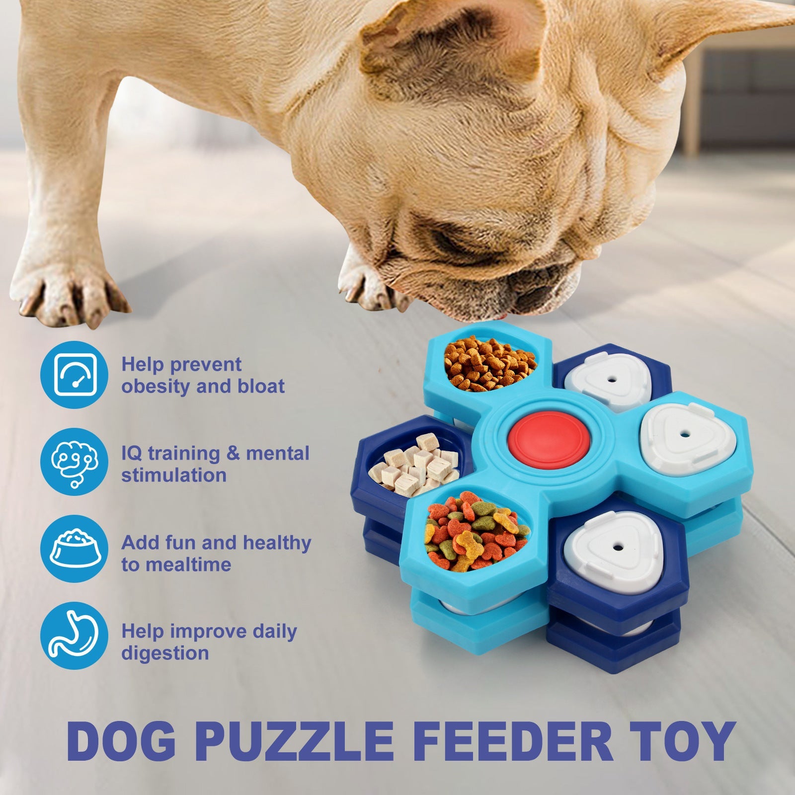 4-Layer Slow Feeder Bowl – Healthy Dog Eating