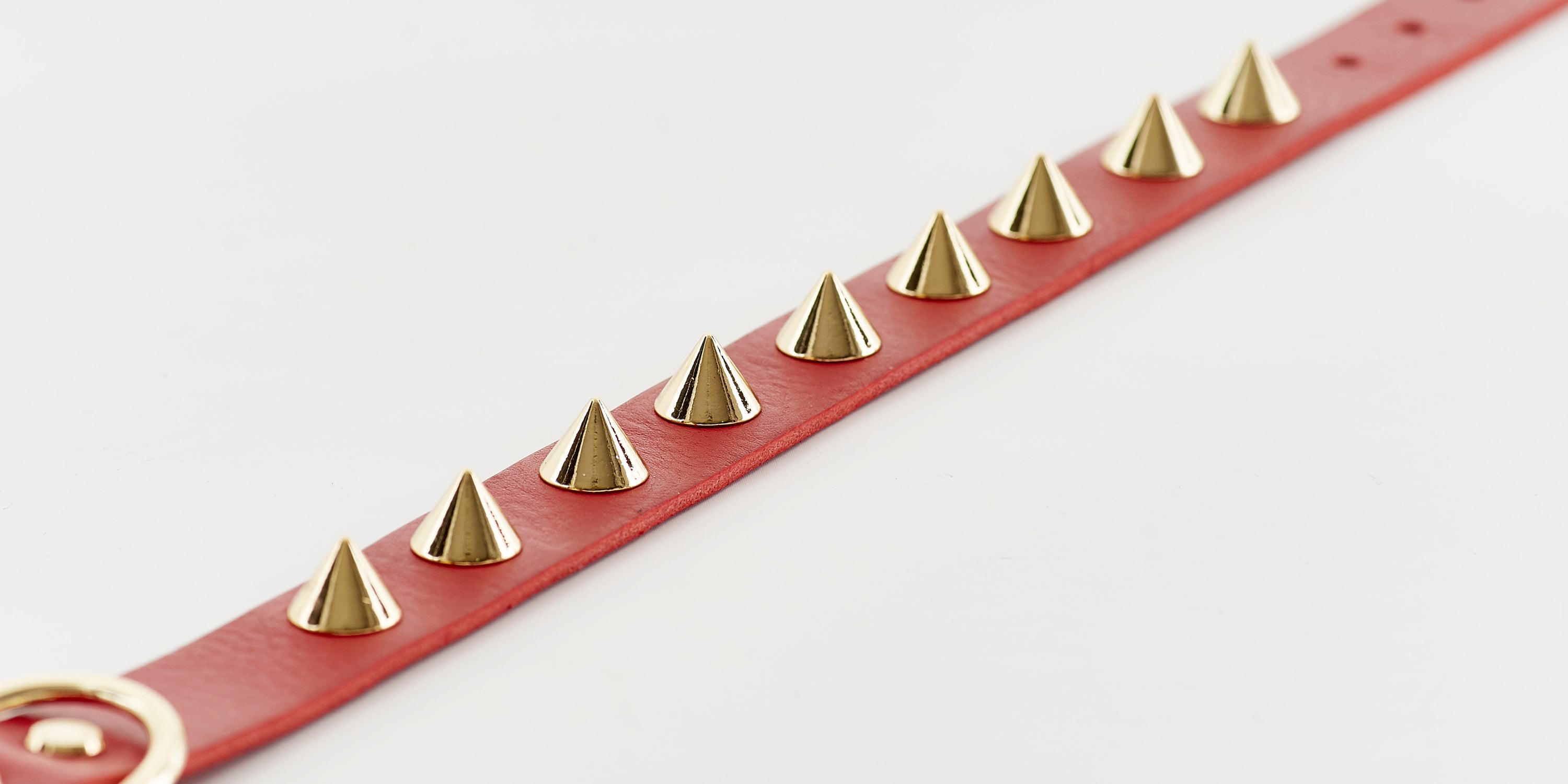 Golden Spike Collar