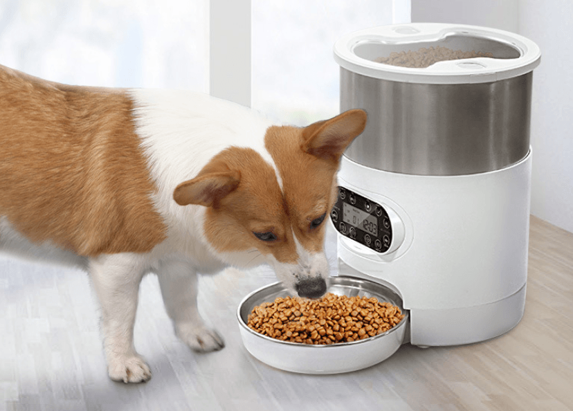 Smart Pet Auto Food Dispenser
