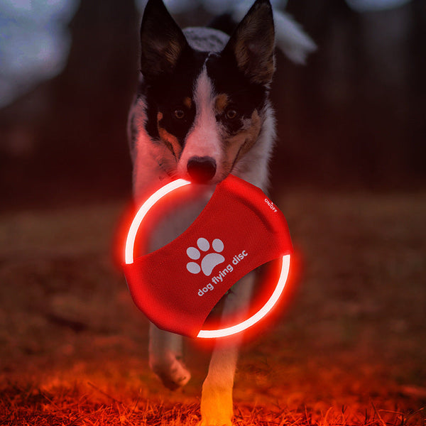 LED Lichtgevende Honden Frisbee