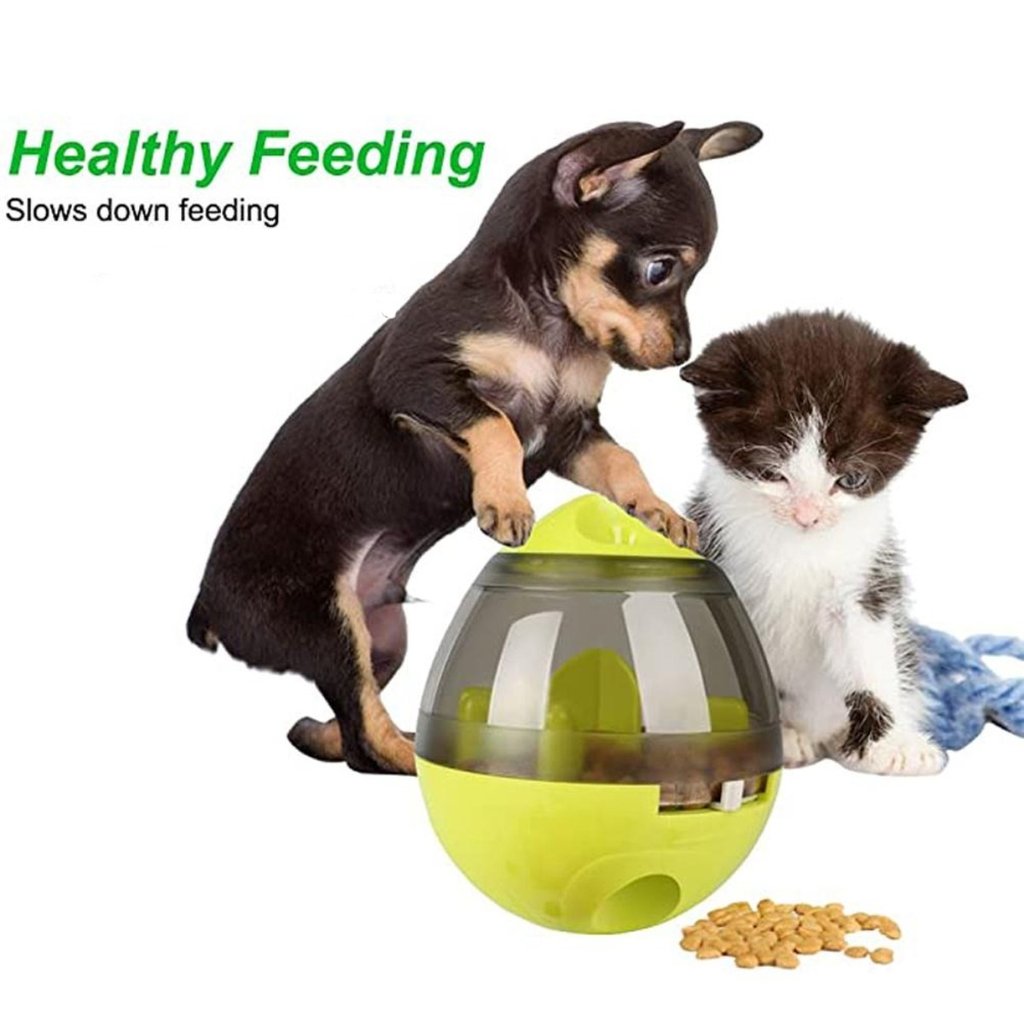 Pet Treat Tumbler