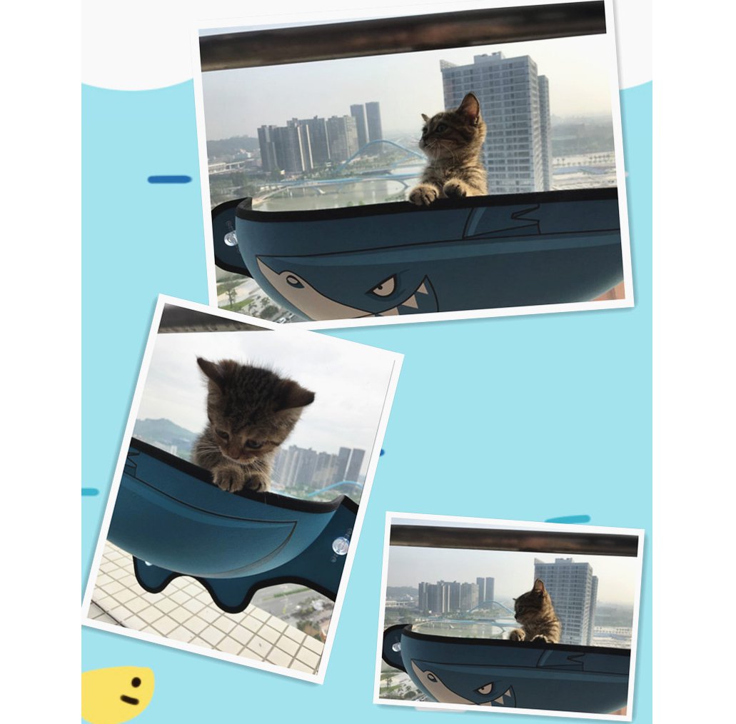 Comfortabele Katten Raammand