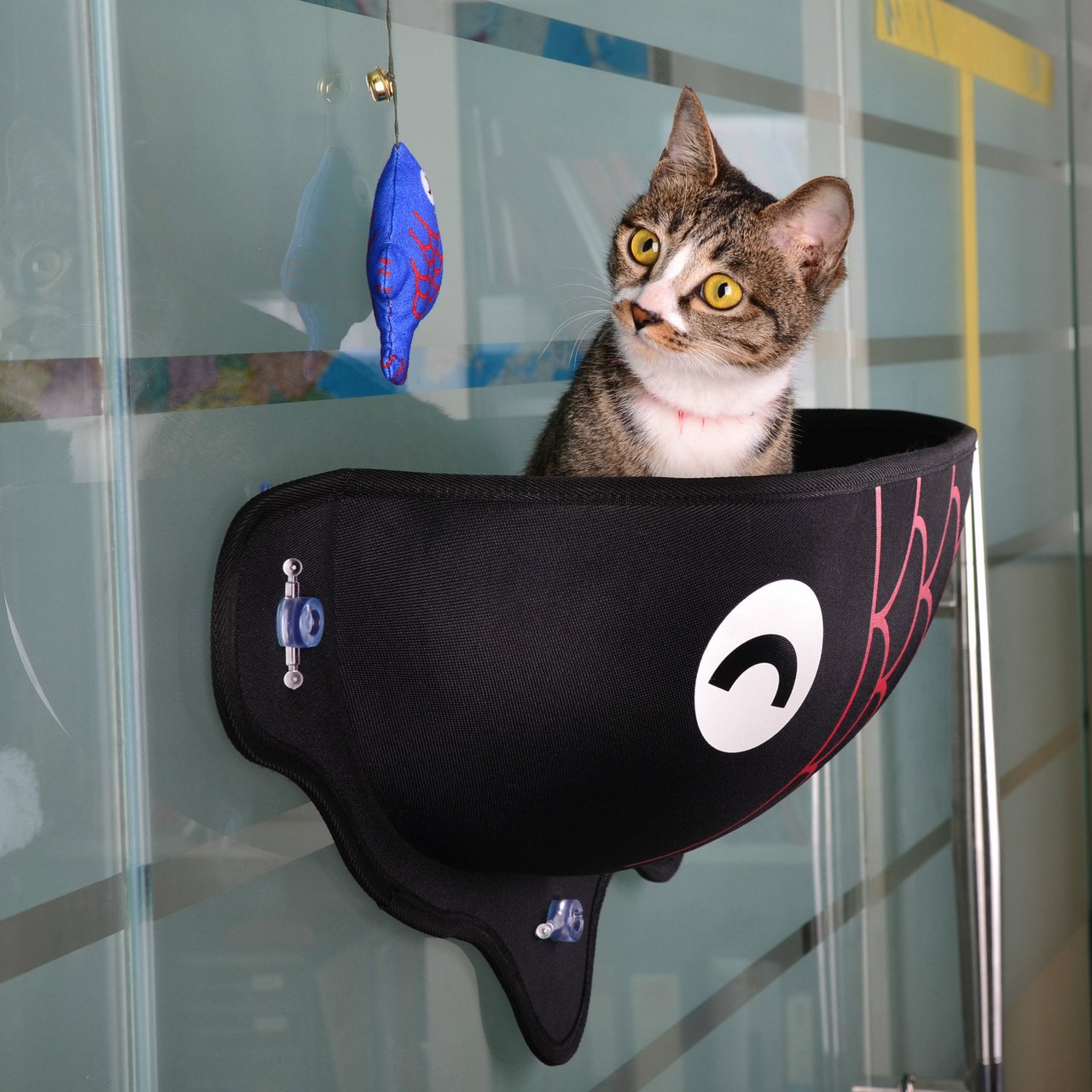 Comfortabele Katten Raammand