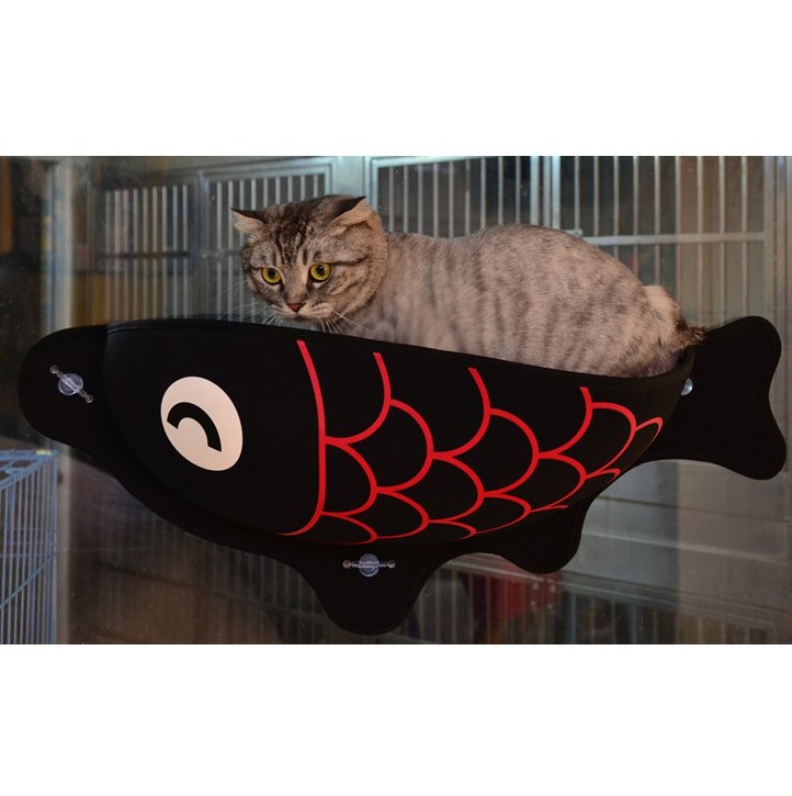 Comfortabele Katten Raammand