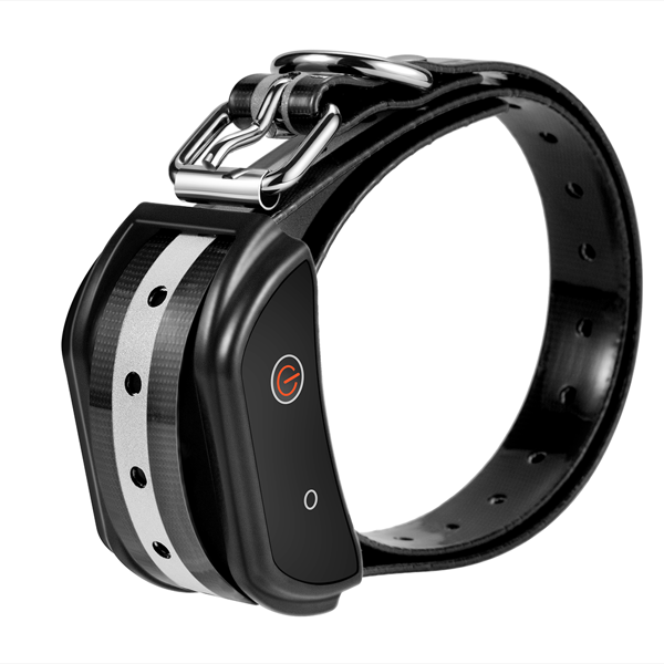 Honden Trainingshalsband met Afstandbediening