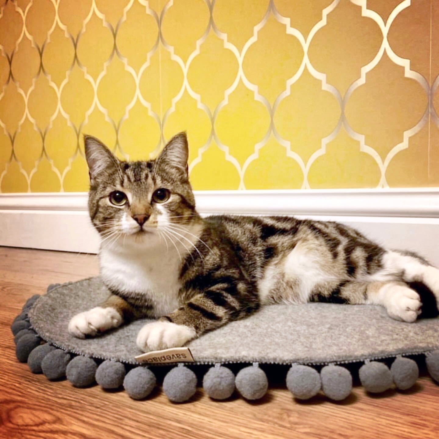 Ronde Huisdierenmat met Pompons