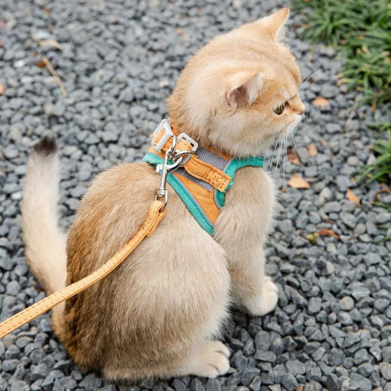 Cat Harness With Leash